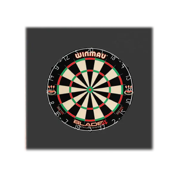 Foam Dartboard Surround