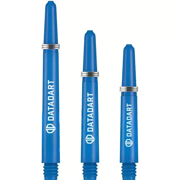 Datadart_Signature_Blue.webp